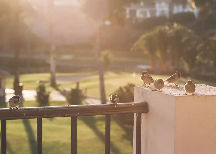 Rio Real Golf & Марбелья